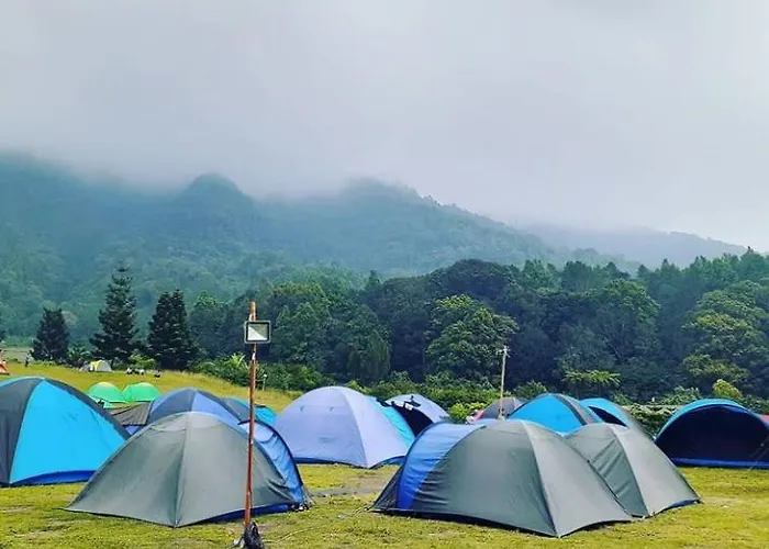Borneo Camp