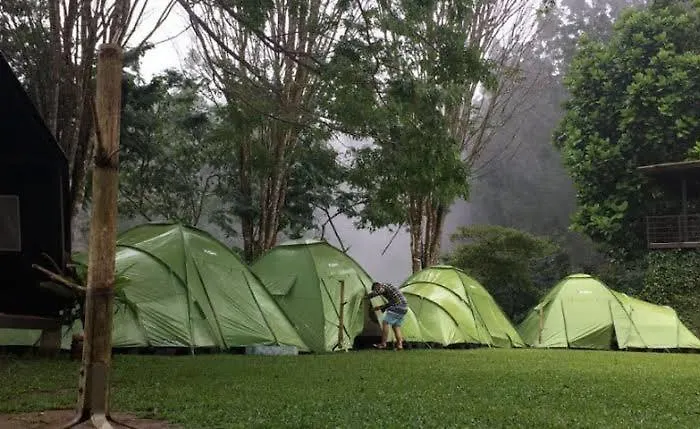 Borneo Camp
