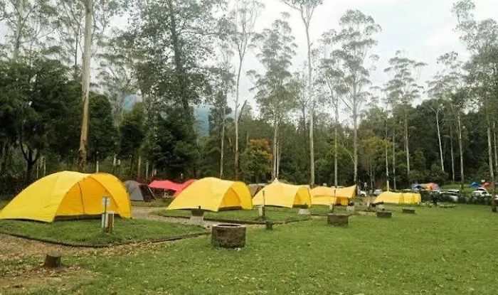 Borneo Camp