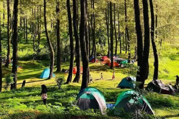 Borneo Camp *