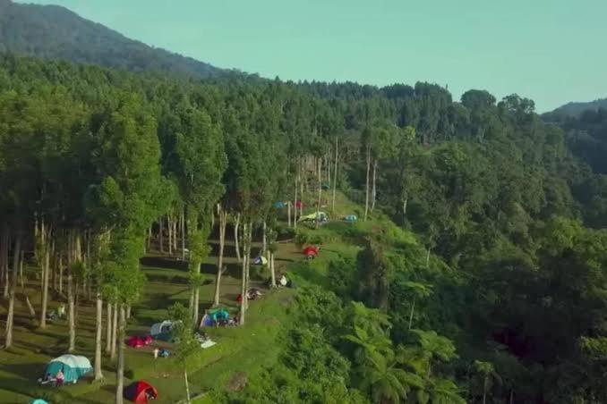 Borneo Camp