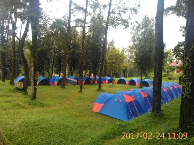 Luxuszelt Borneo Camp Samarinda