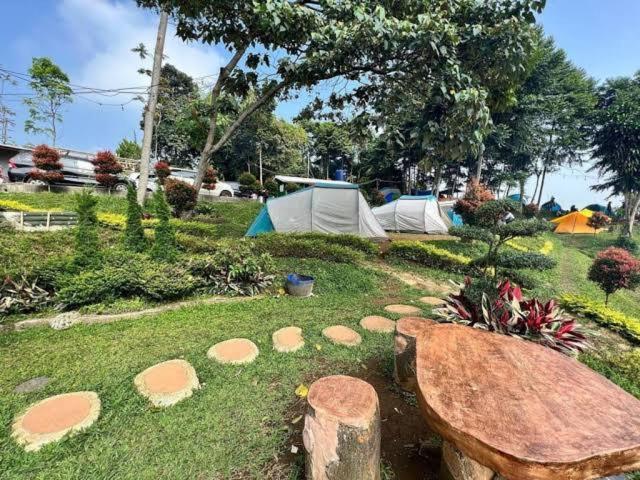 Borneo Camp *