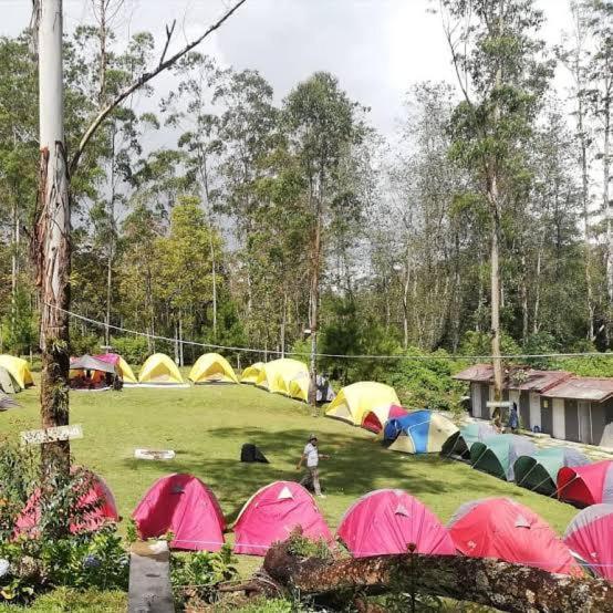 Luxuszelt Borneo Camp