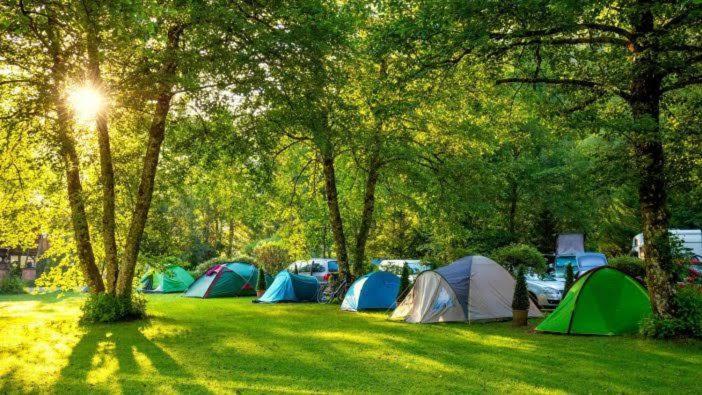 Borneo Camp